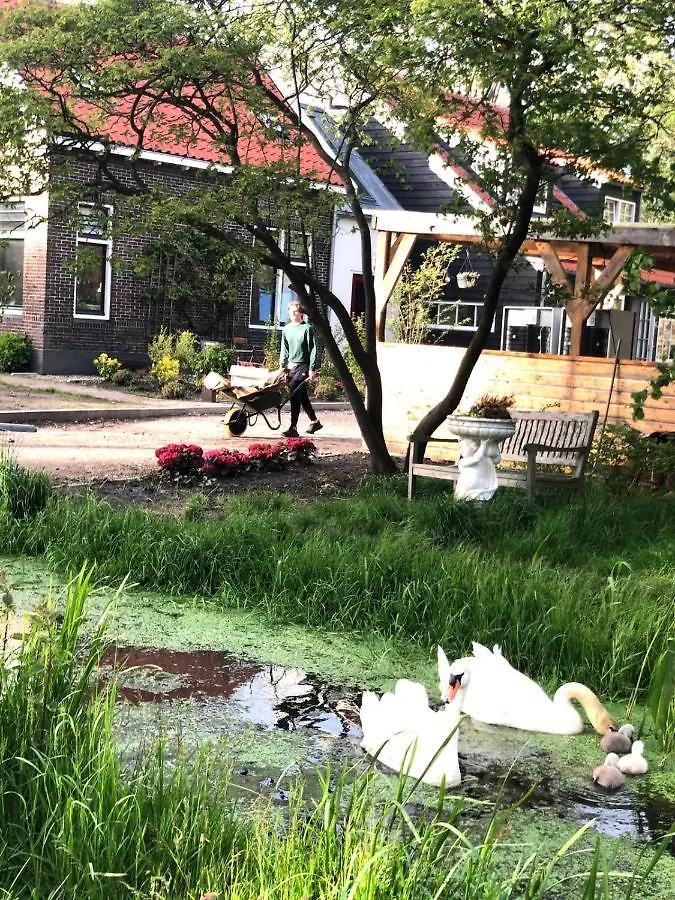 Homestead Amsterdam Appartement