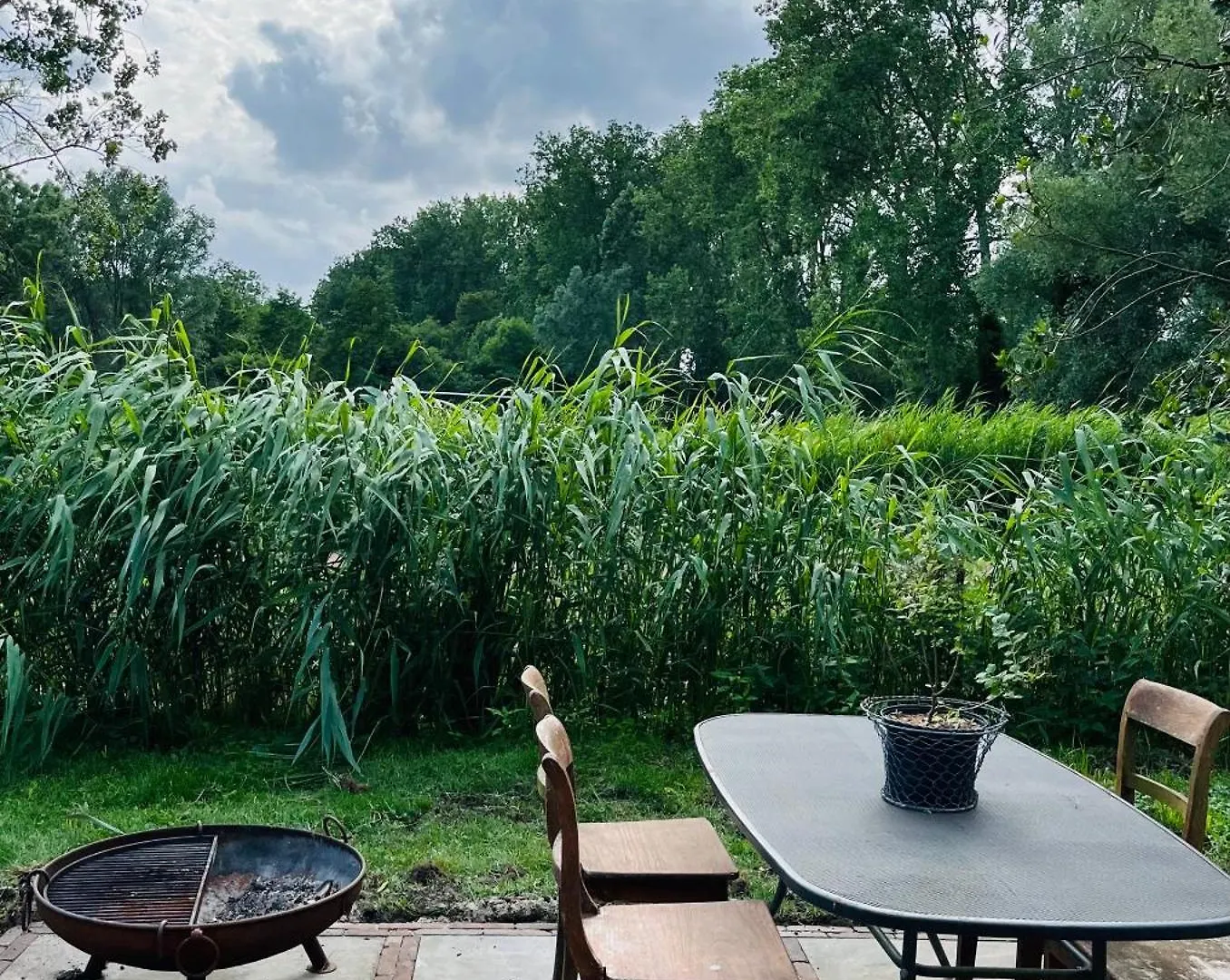 Appartement Homestead Amsterdam